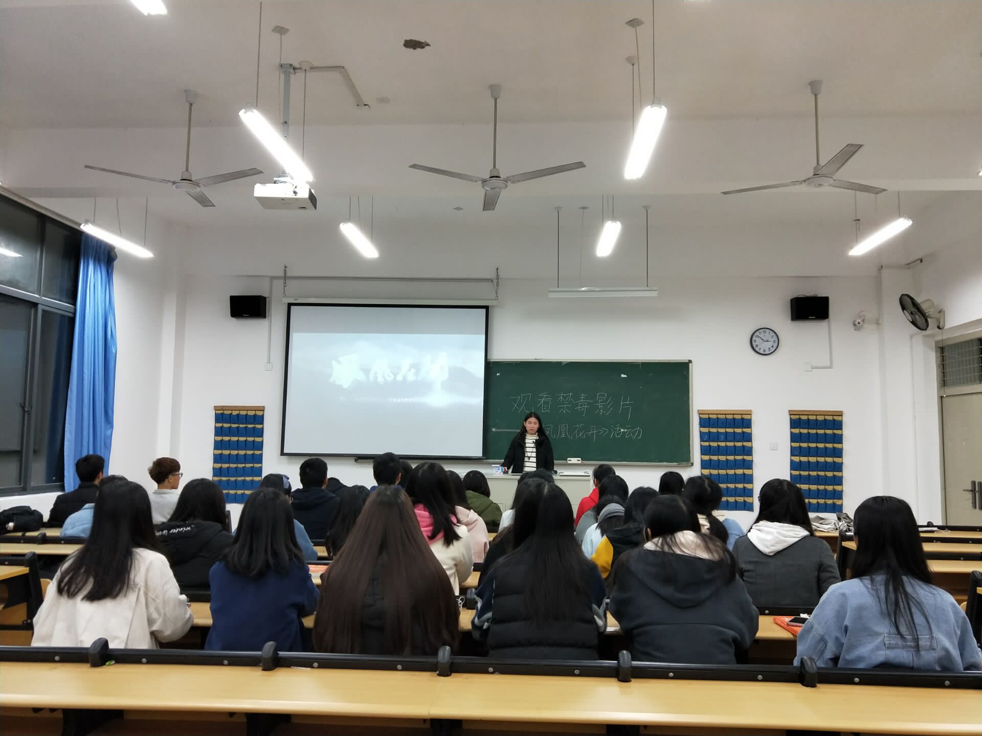 学校组织观看禁毒教育电影《凤凰花开》