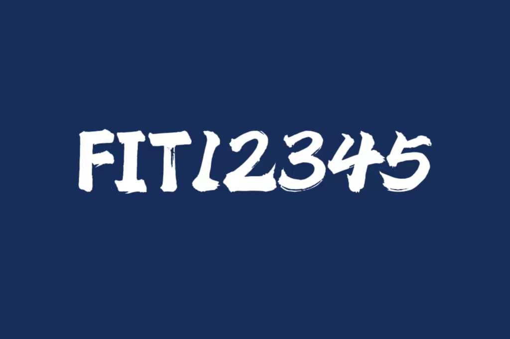 FIT12345